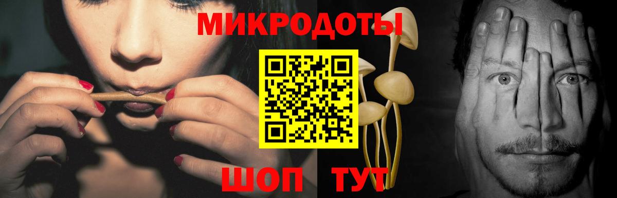 Галлюциногенные грибы Psilocybe Набережные Челны